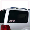 Cheer Factor Bling Clingz Window Decal All in Rhinestones
